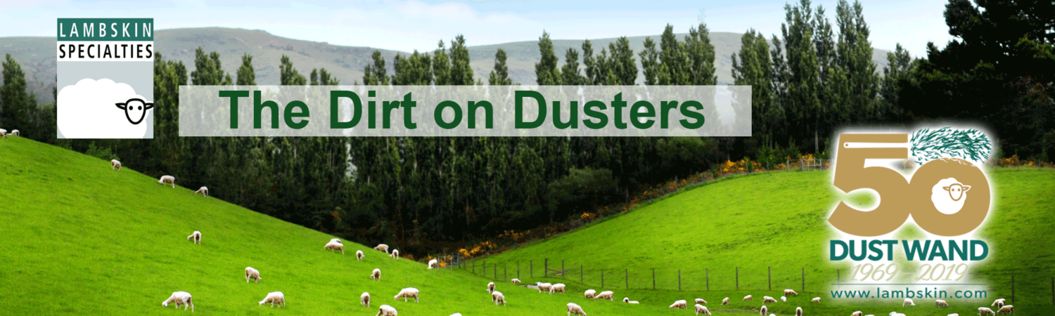 The Dirt on Dusters